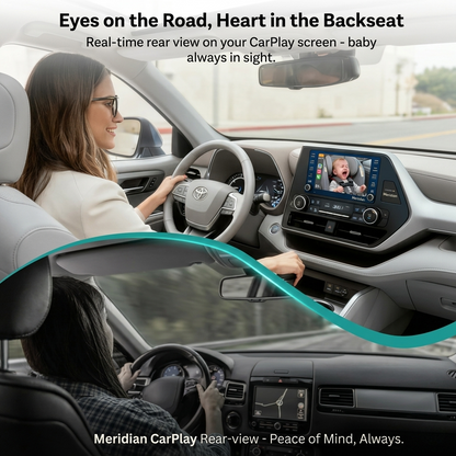 Meridian Guardian Pro