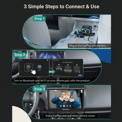 Meridian Guardian Pro